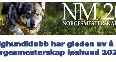 NM Løshund 2024 – informasjon, uttaksregler og påmelding